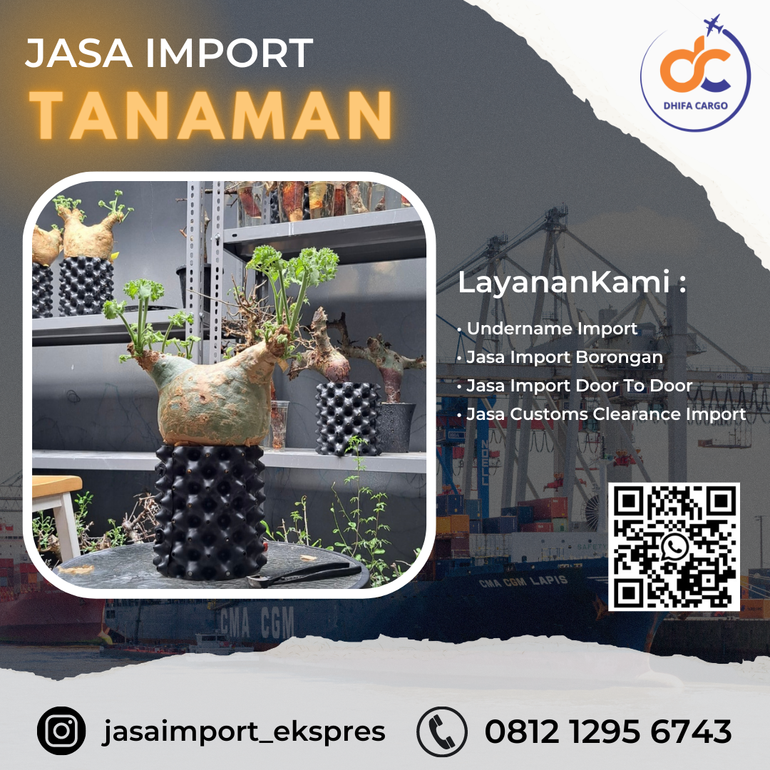 Jasa Import Peralatan Rumah - Dhifa Cargo