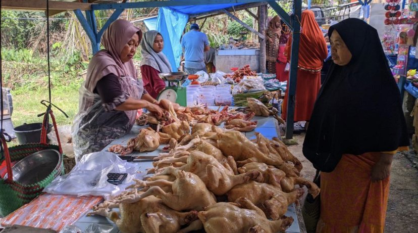 Daging Ayam