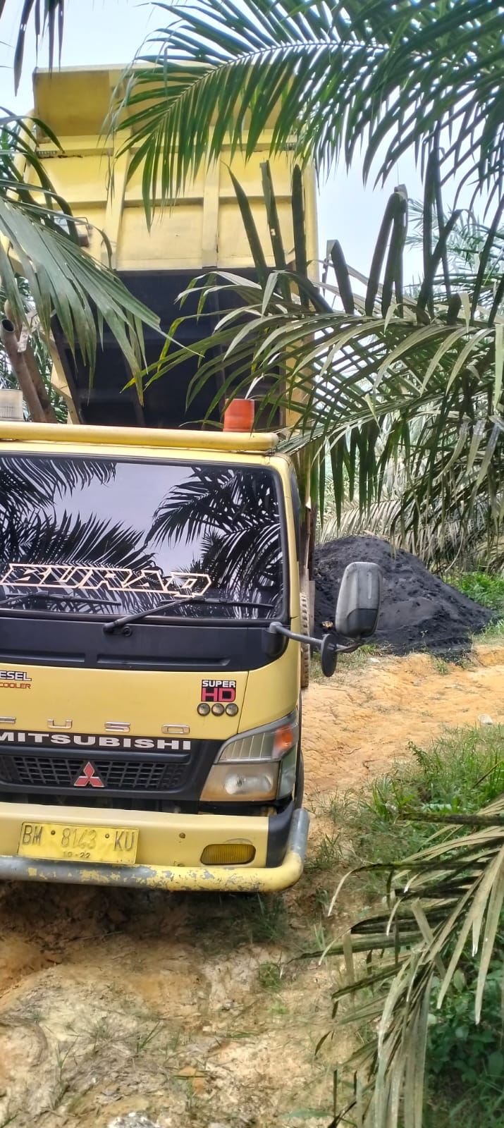 Tandan buah segar