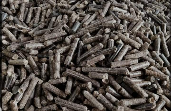 Wood pellet 
