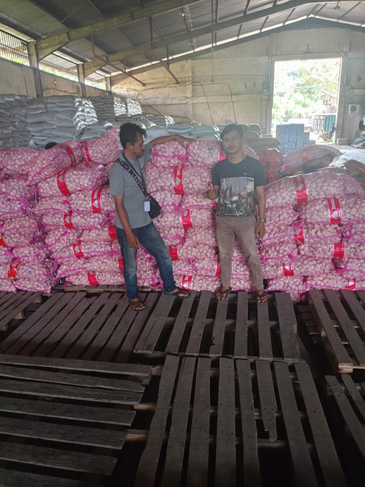 Bawang putih Honan 
