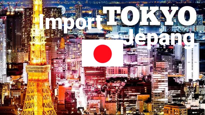 jasa import dari jepang udara express