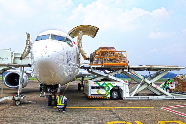JASA IMPORT MURAH SAF CARGO