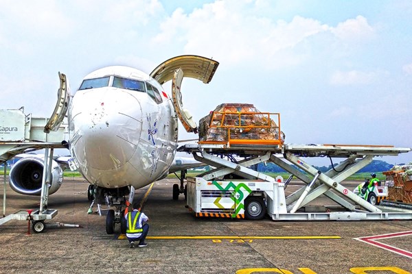 JASA IMPORT BARANG SAF CARGO