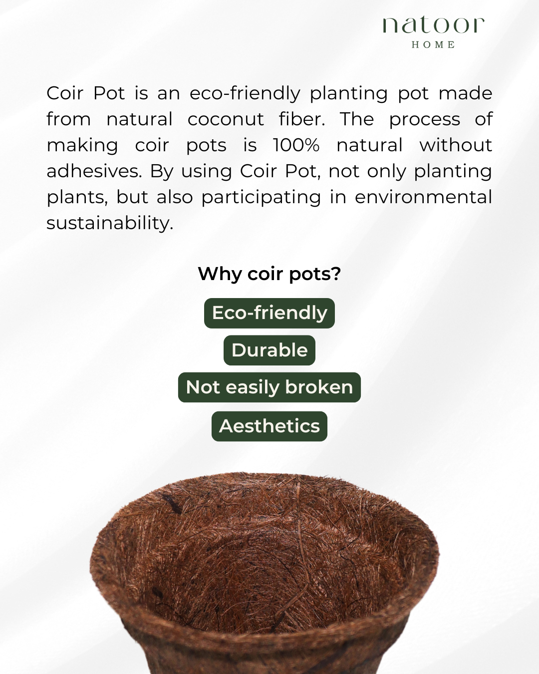 Coir Pot