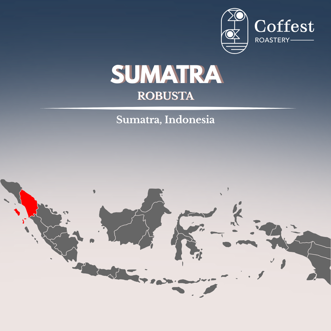 Green Bean Robusta Sumatra 1kg