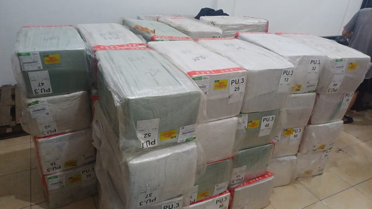 Jasa Import