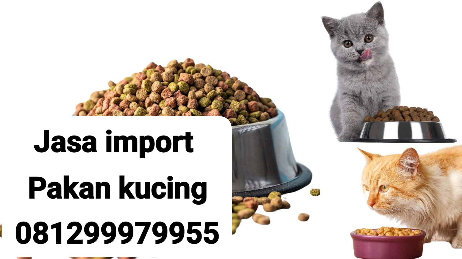 JASA IMPORT PAKAN KUCING