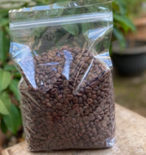 KOPI ROASRING PAUH