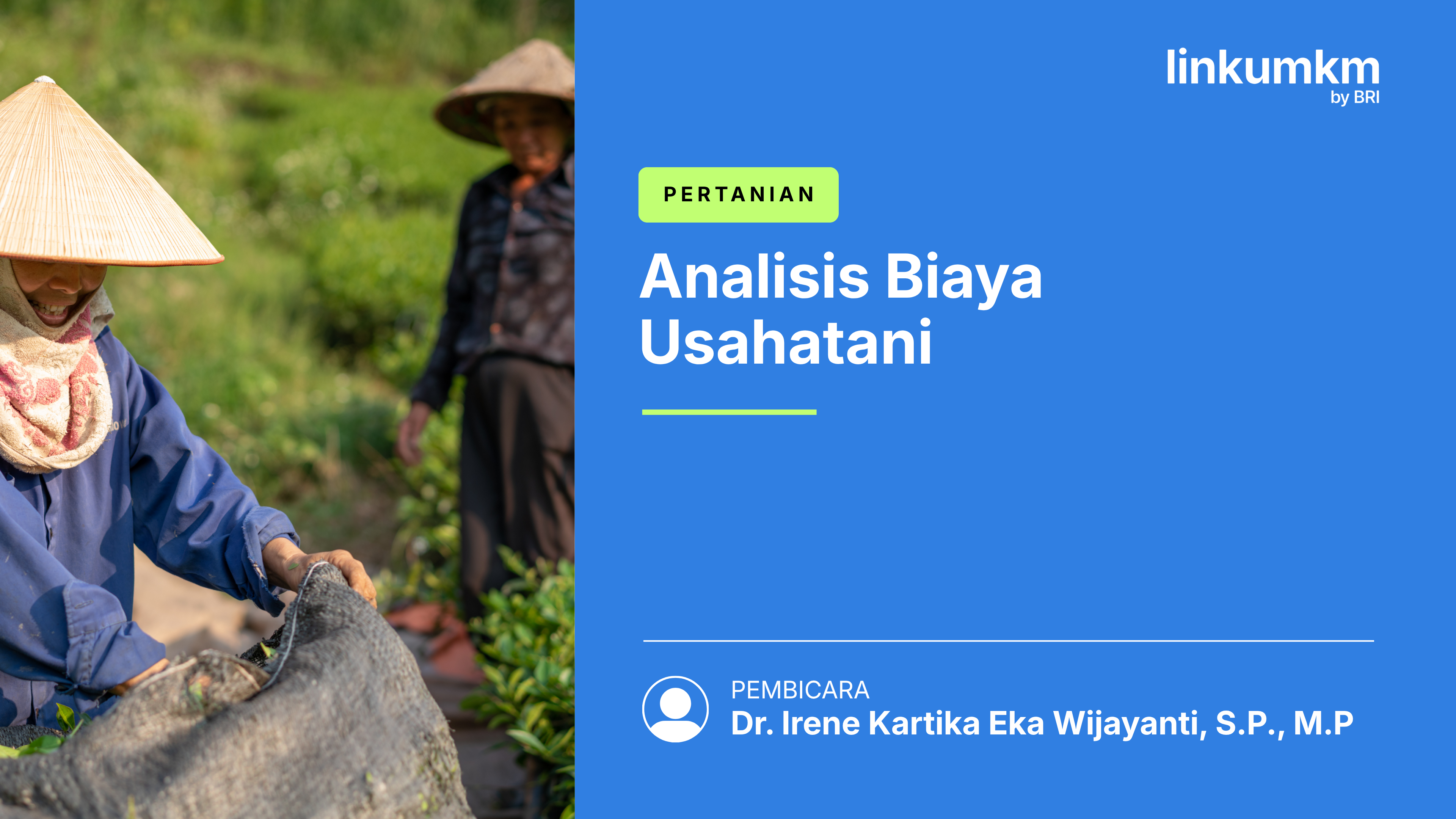 Analisis Biaya Usahatani