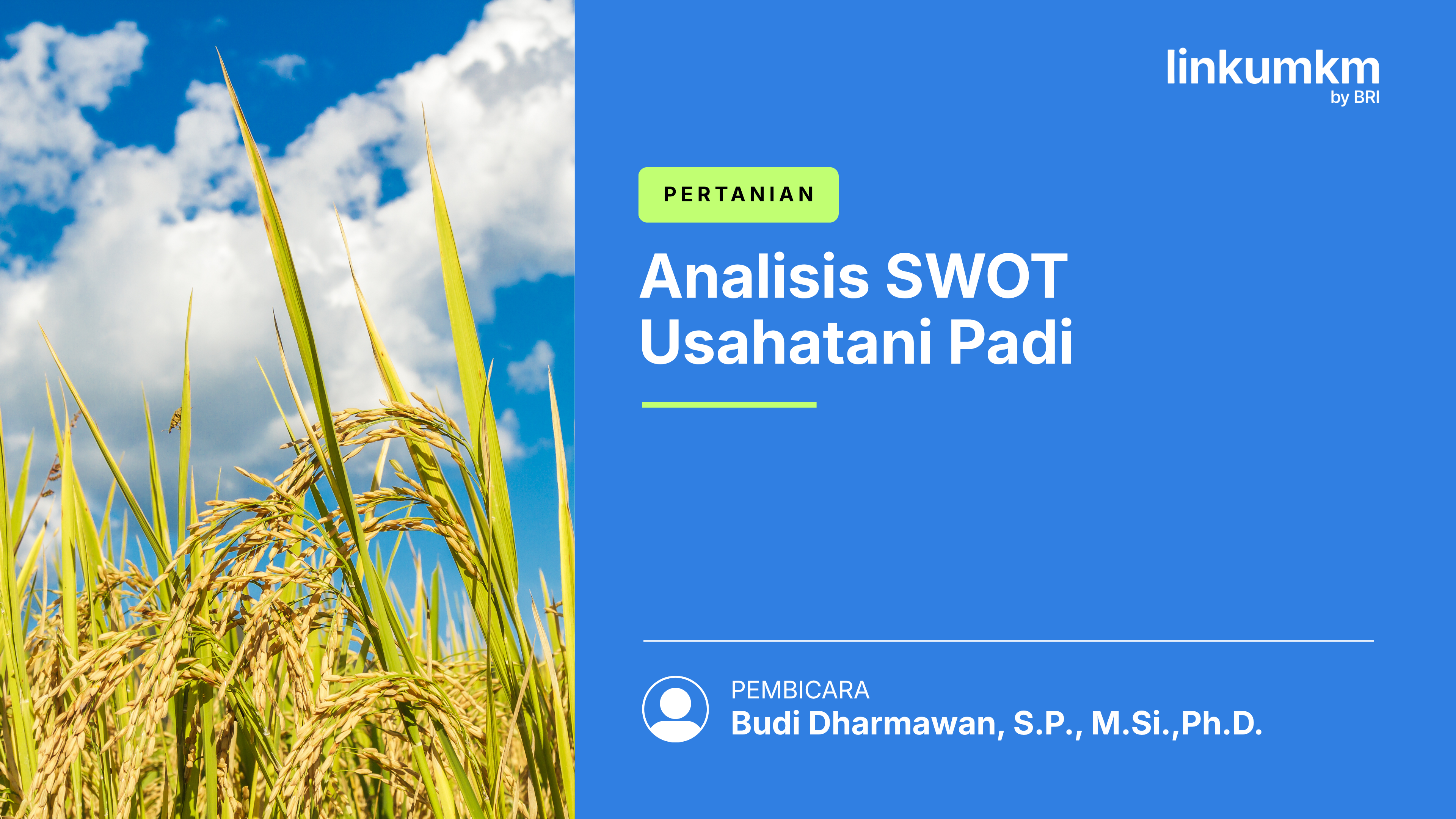 Analisis SWOT Usahatani Padi