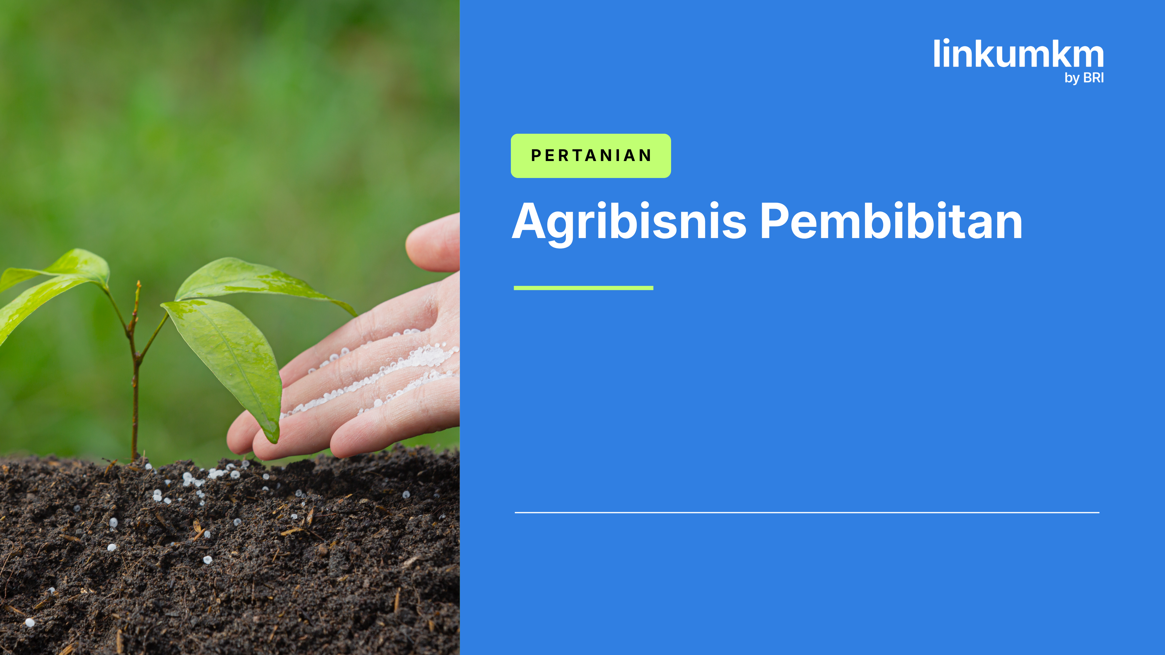 Agribisnis Pembibitan