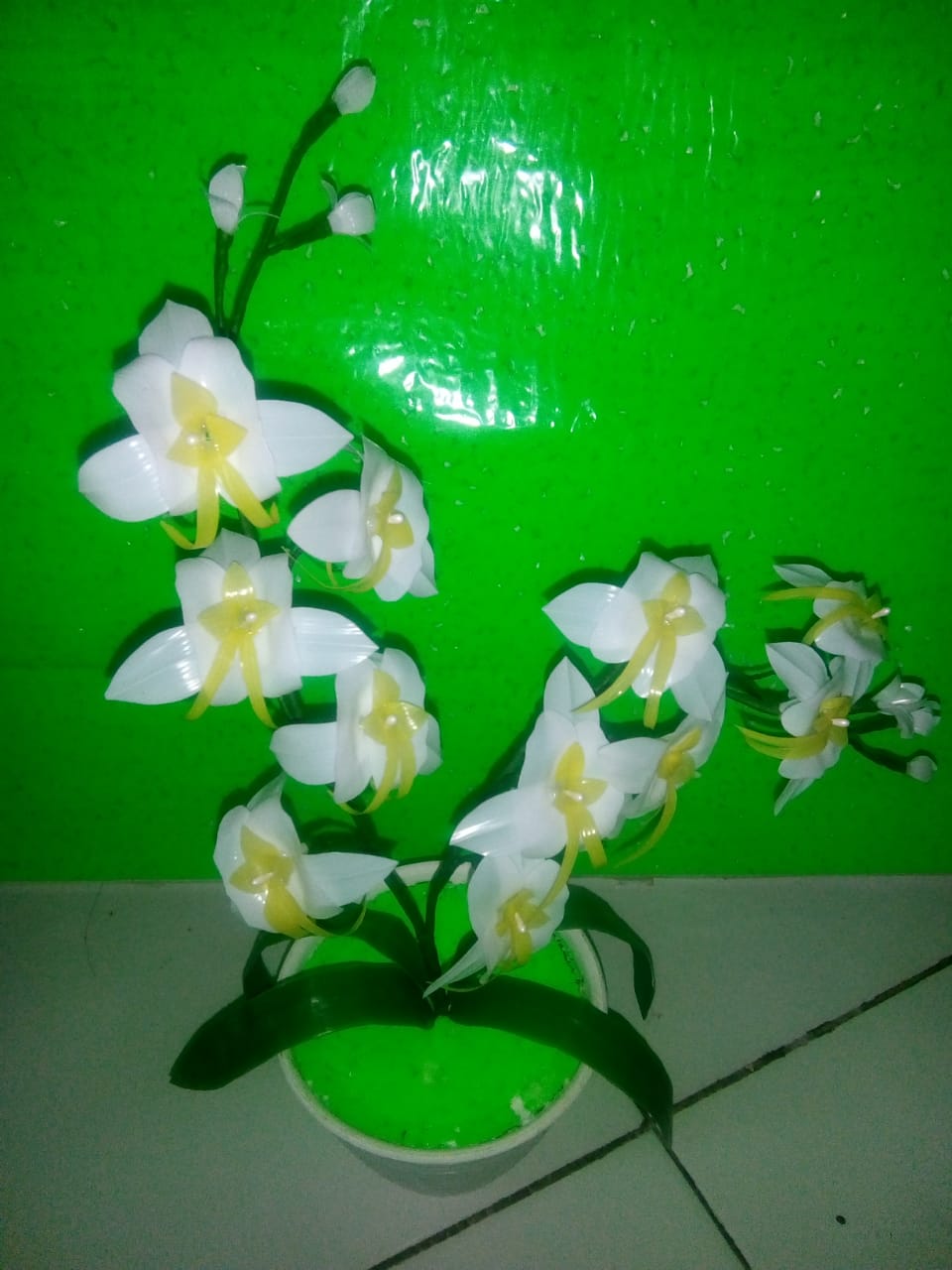Bunga 