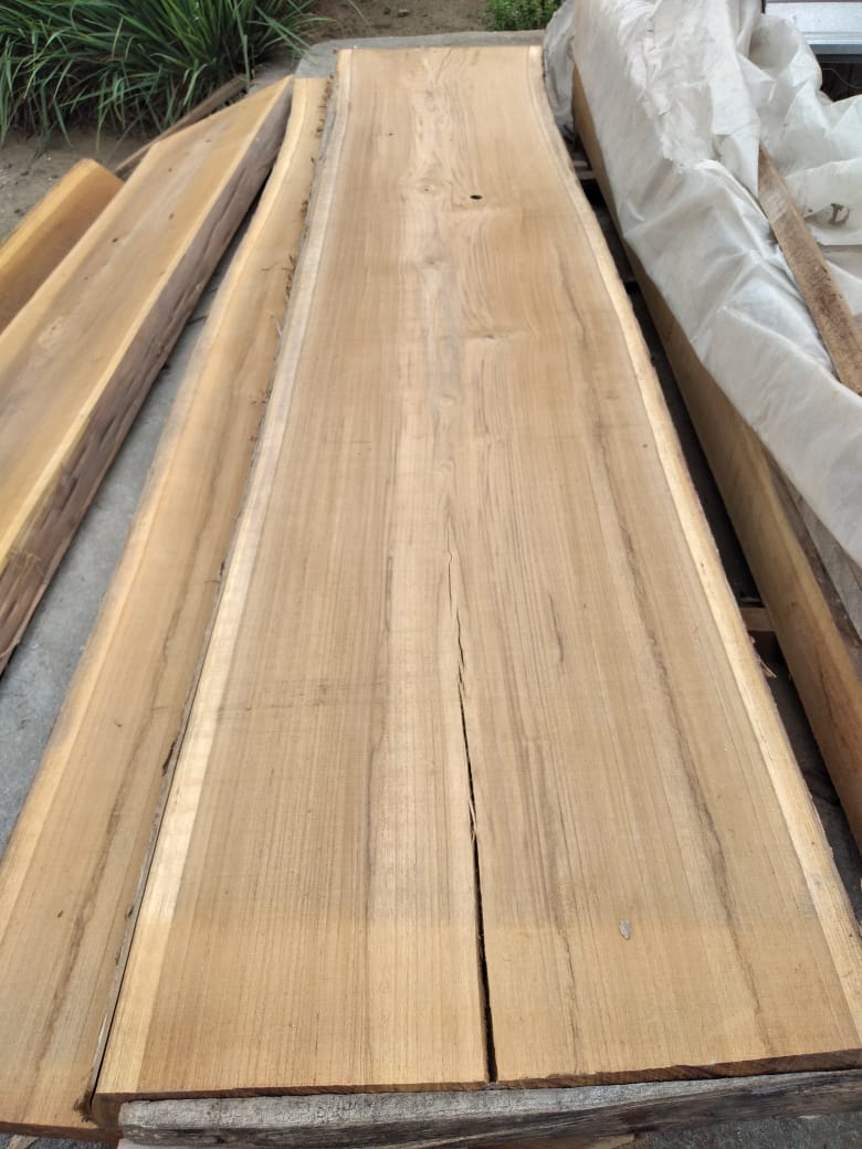 Papan jati