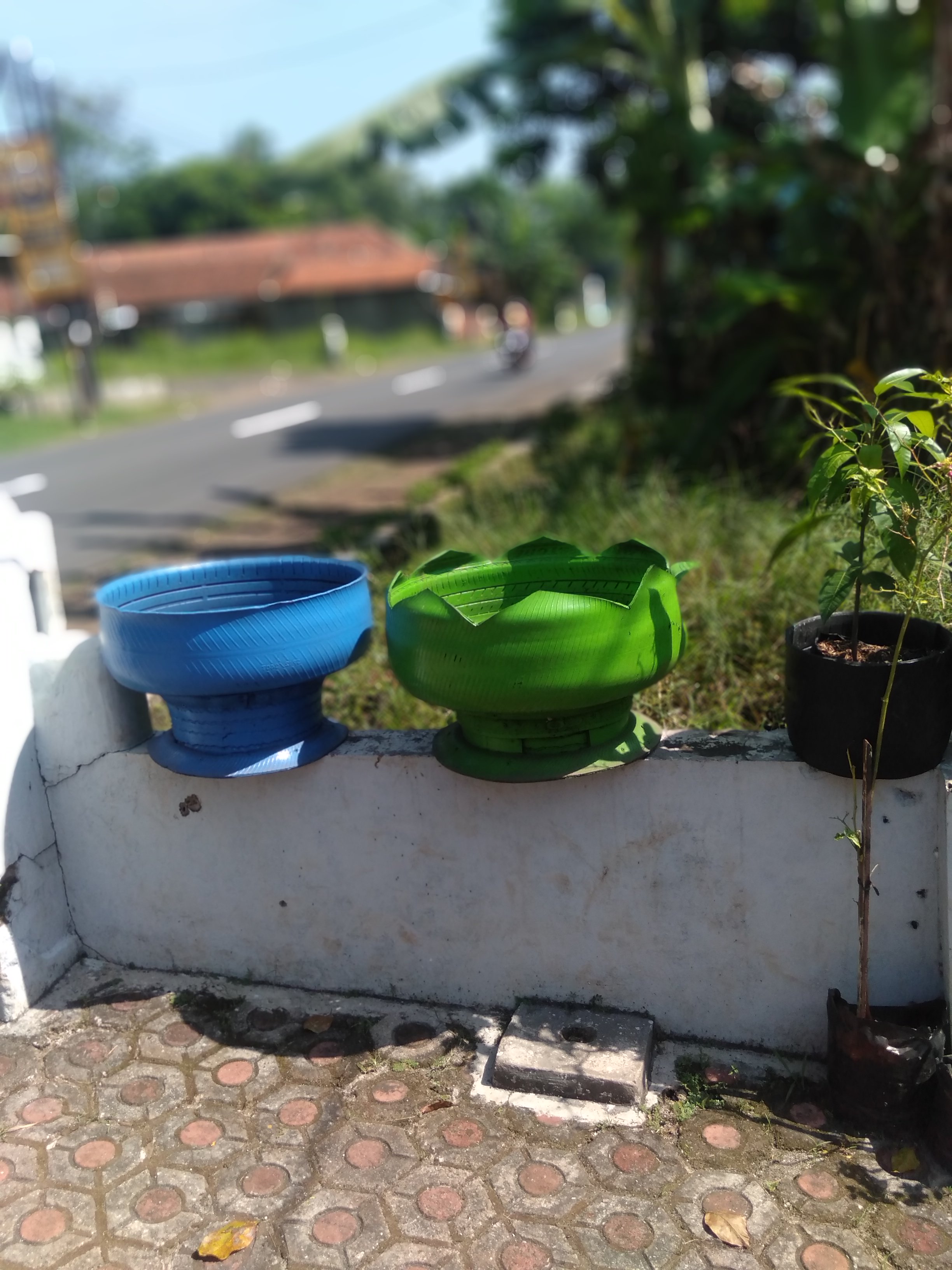 Pot ban