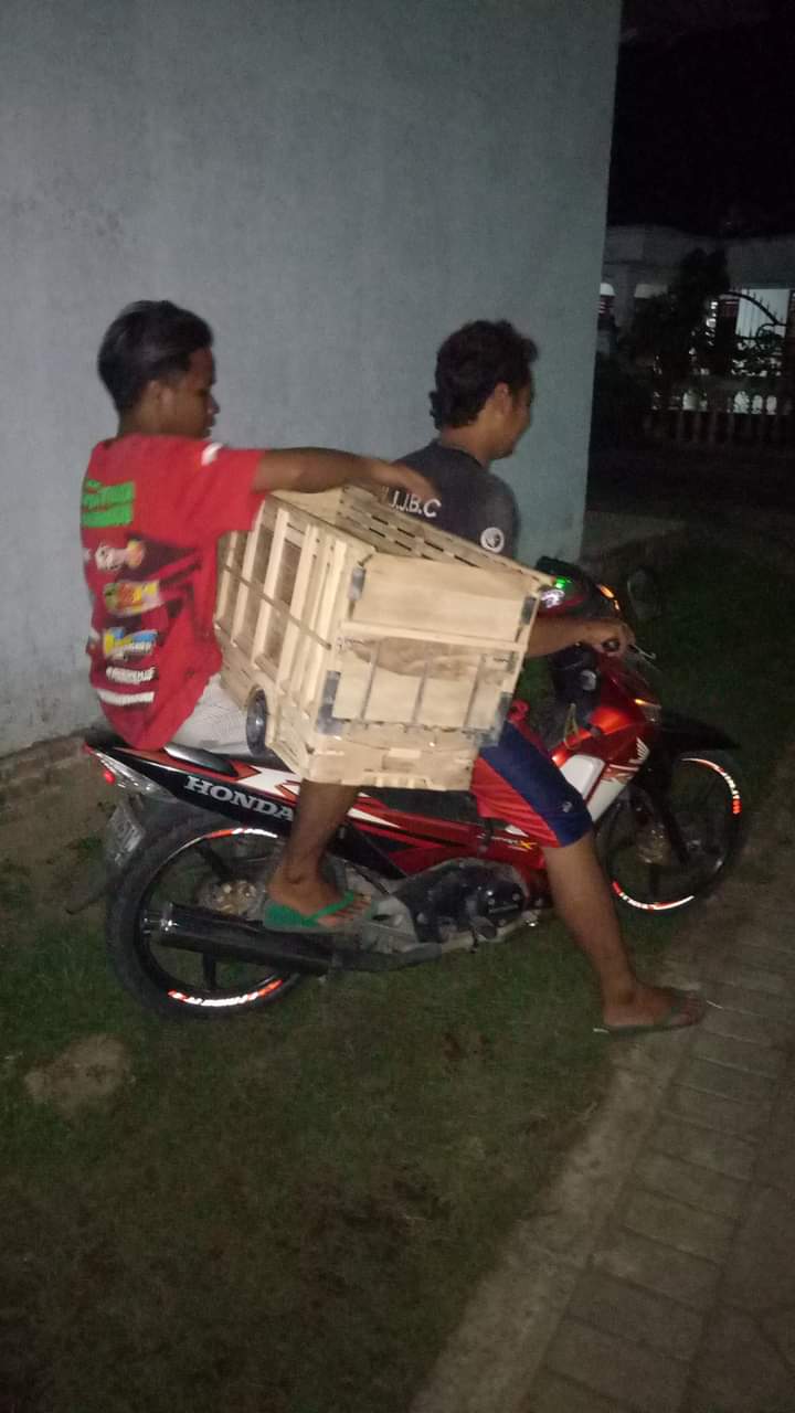 Box speaker miniatur dan bibit gurame