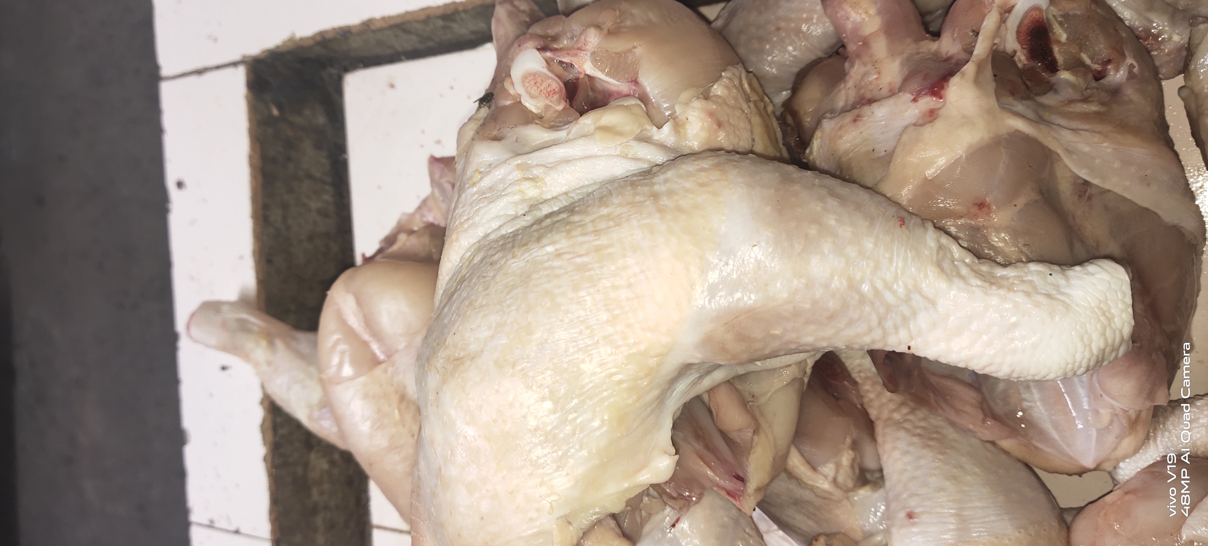 Daging ayam segar
