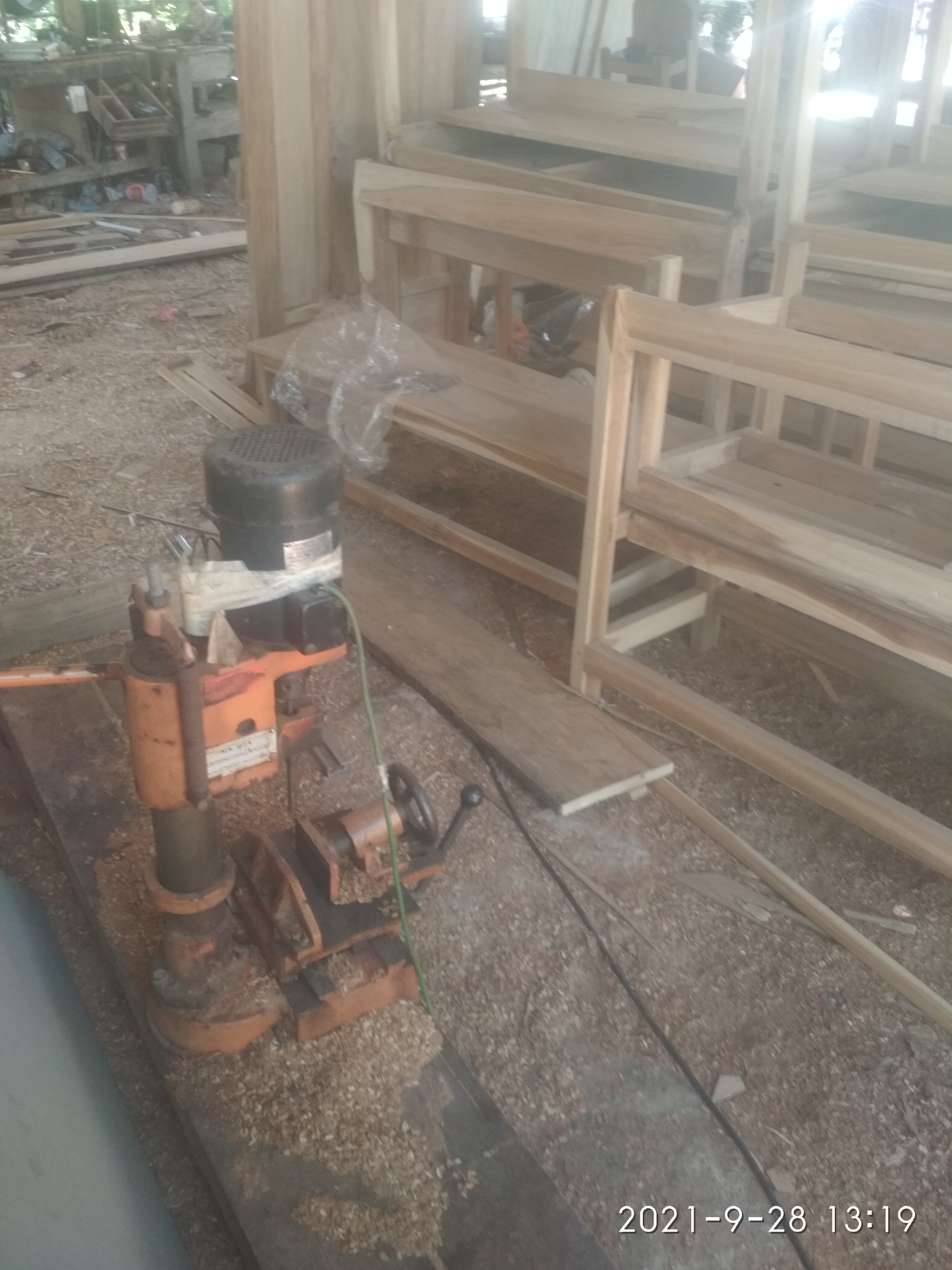Kayu jati