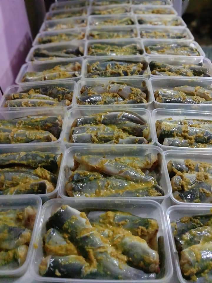 ikan lele segar