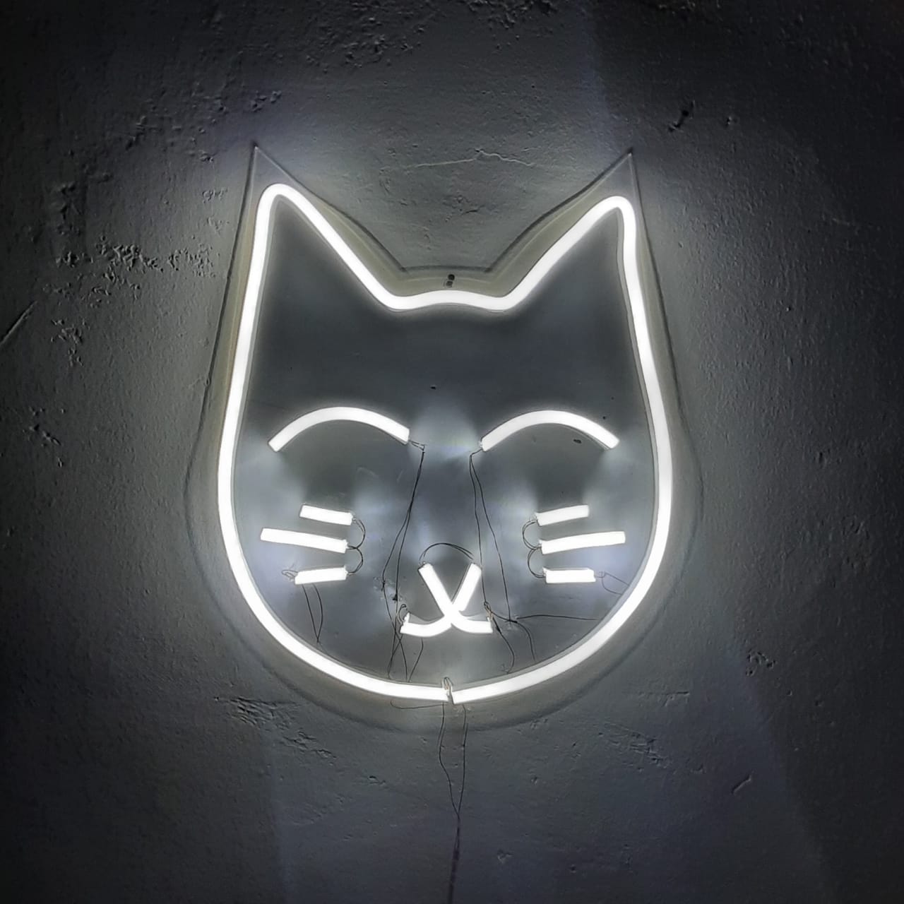 CUSTOM LAMPU NEON FLEX