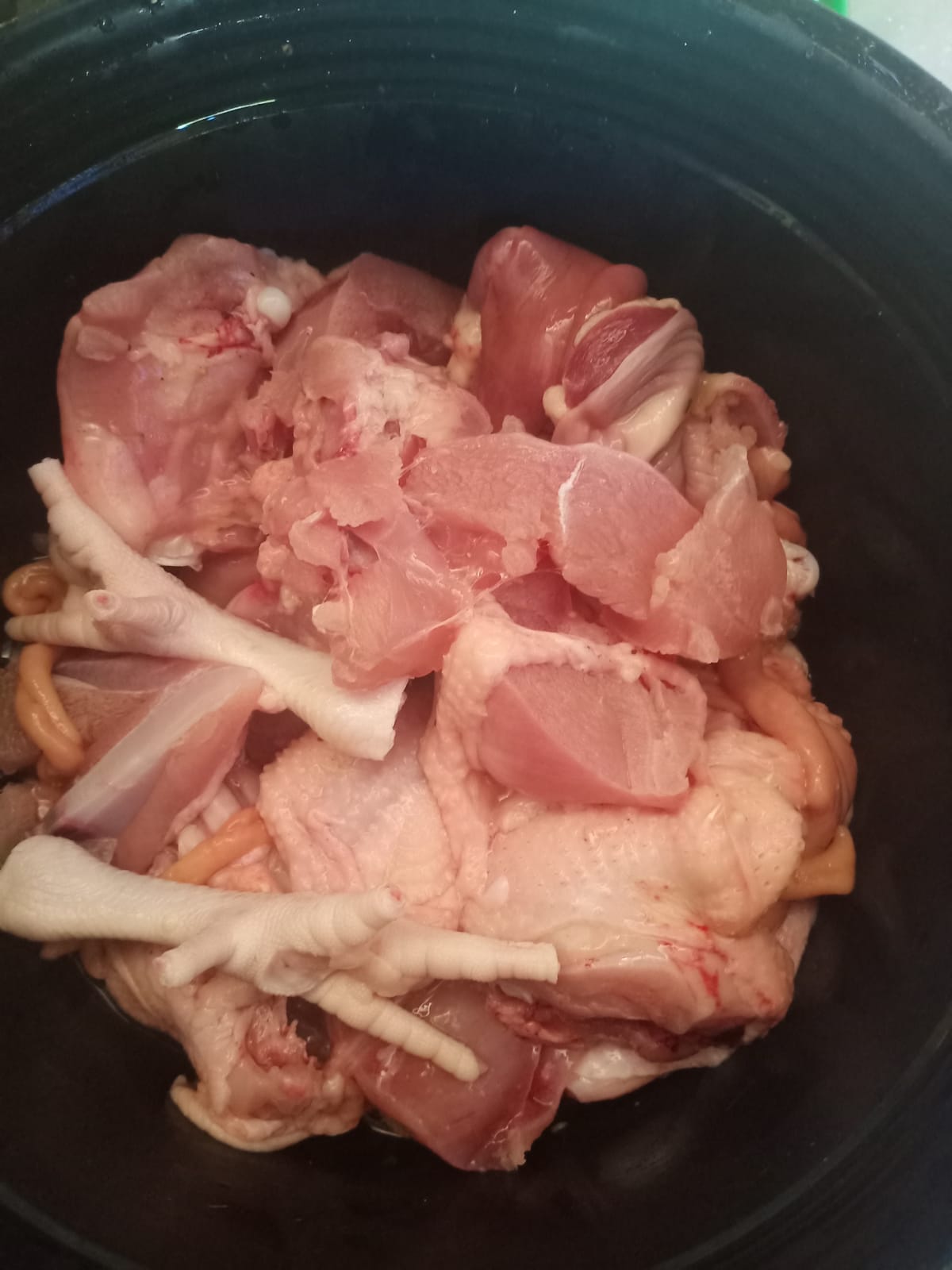 Ayam pedaging/potong