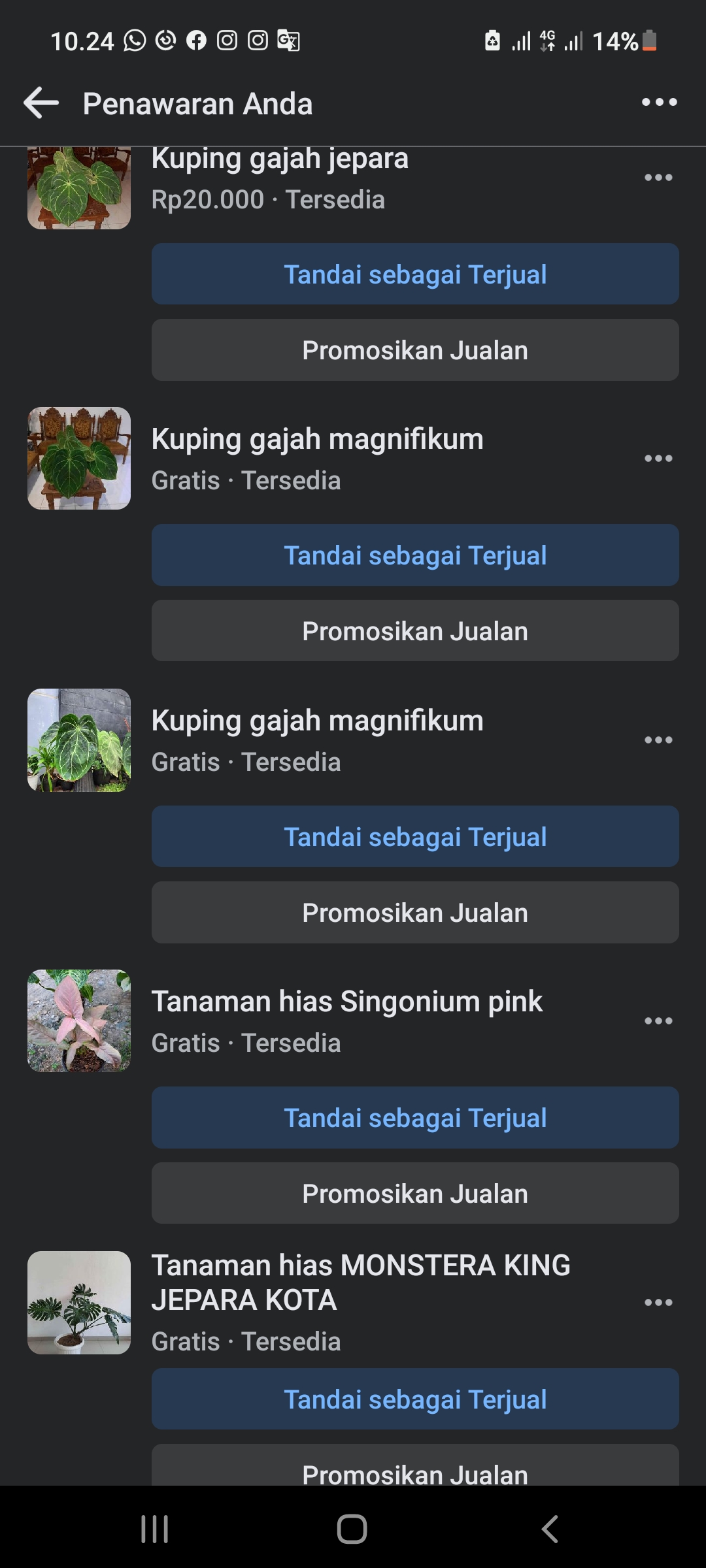Tanaman hias