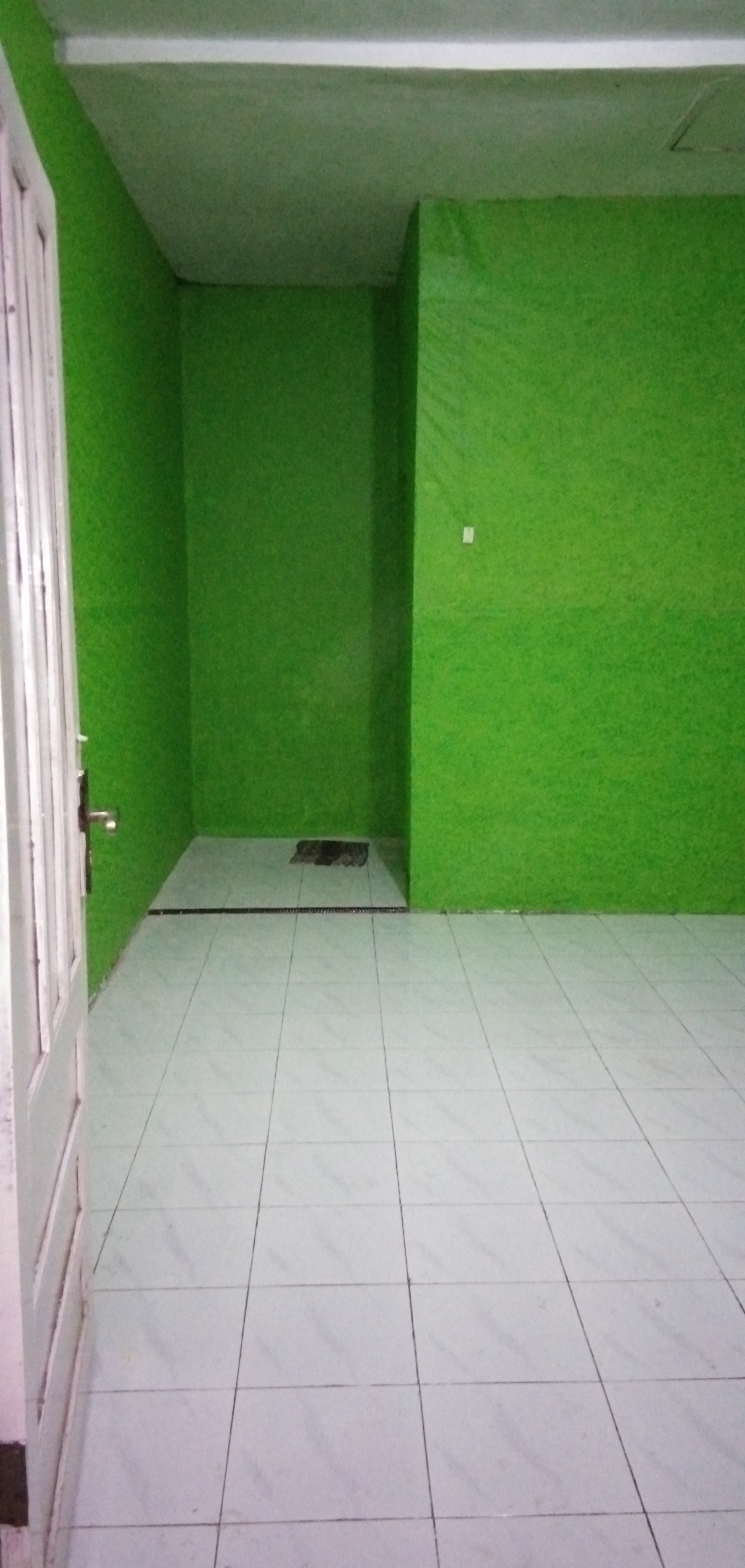 Kost55