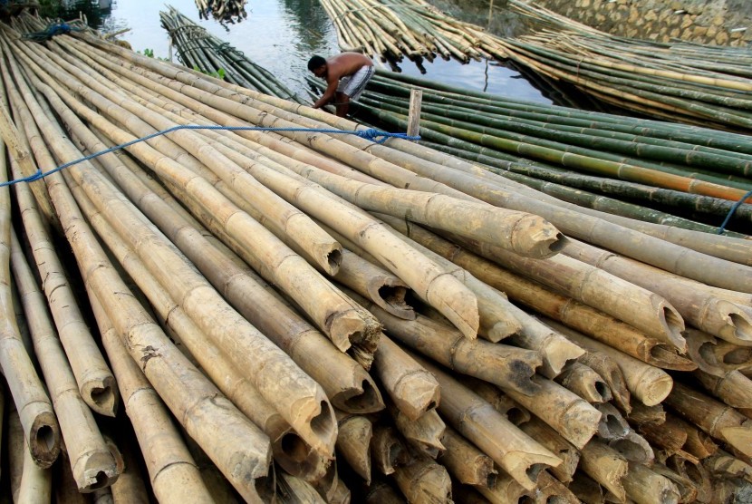 Bambu 