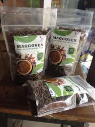 Maggot Bsf Kering
