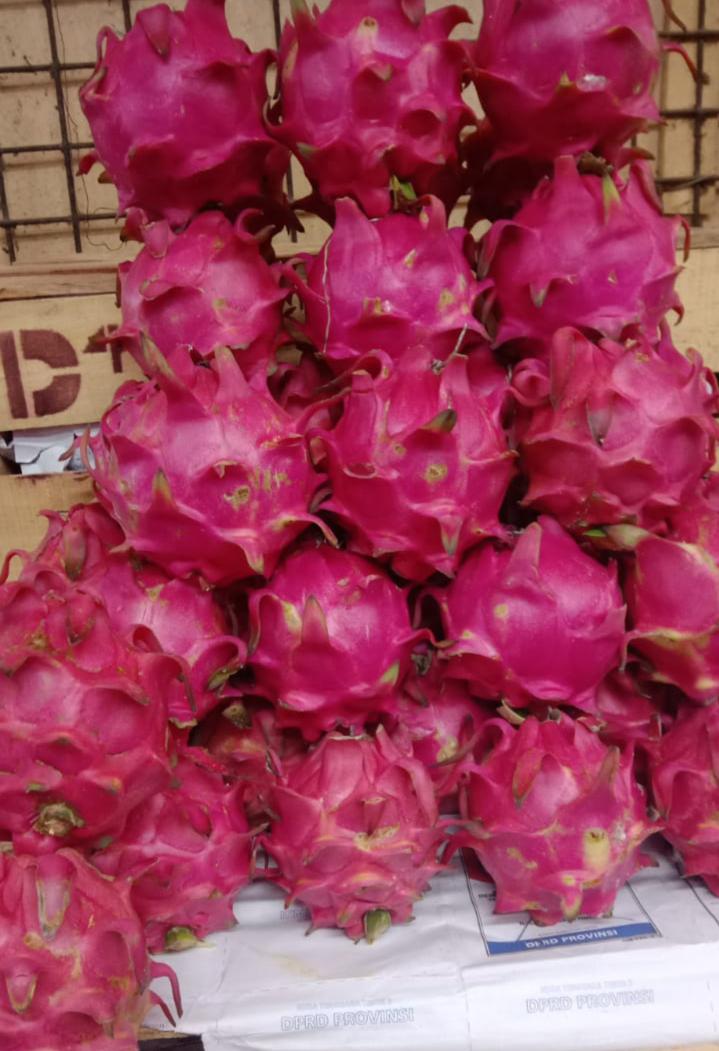 Buah Segar