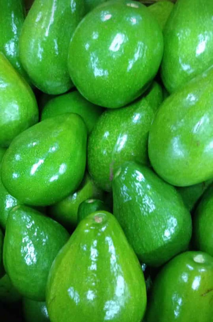 BUAH SEGAR