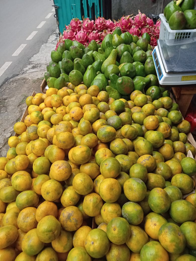 BUAH SEGAR