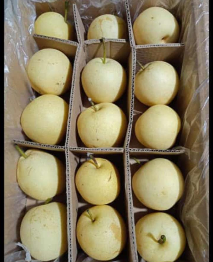 BUAH - BUAHAN  SEGAR 