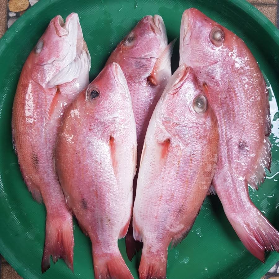 Olahan ikan segar