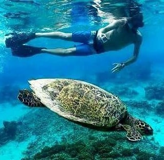 Mutiara lombok tour &amp; travel