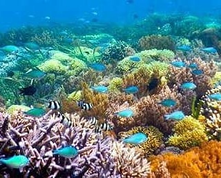 Mutiara lombok tour &amp; travel