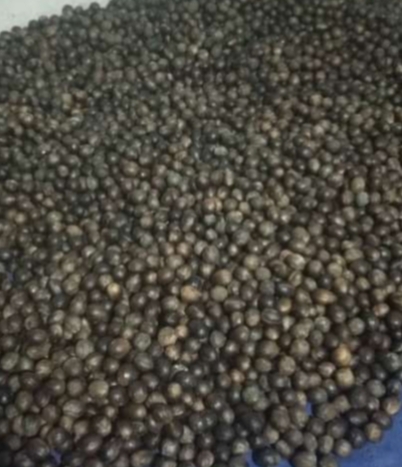Buah pala