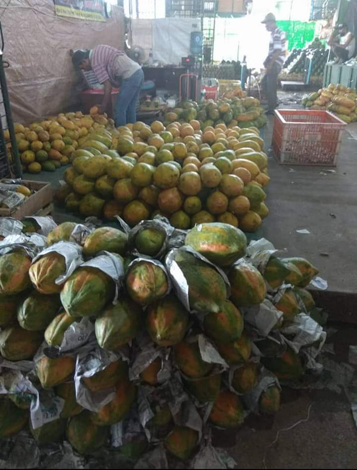 Pepaya California