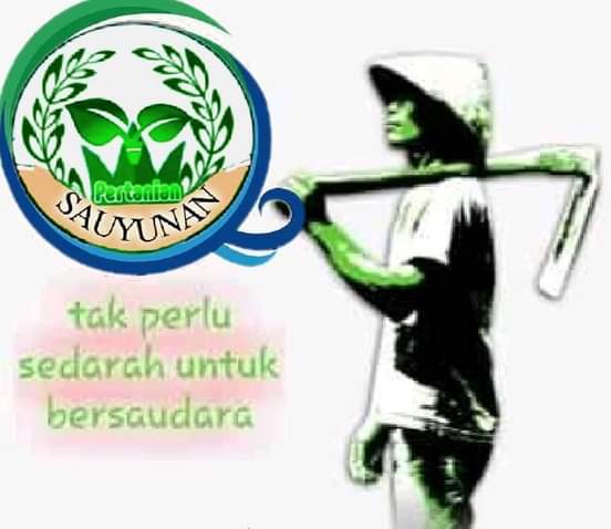 Sayur mayur hasil bumi Sauyunan