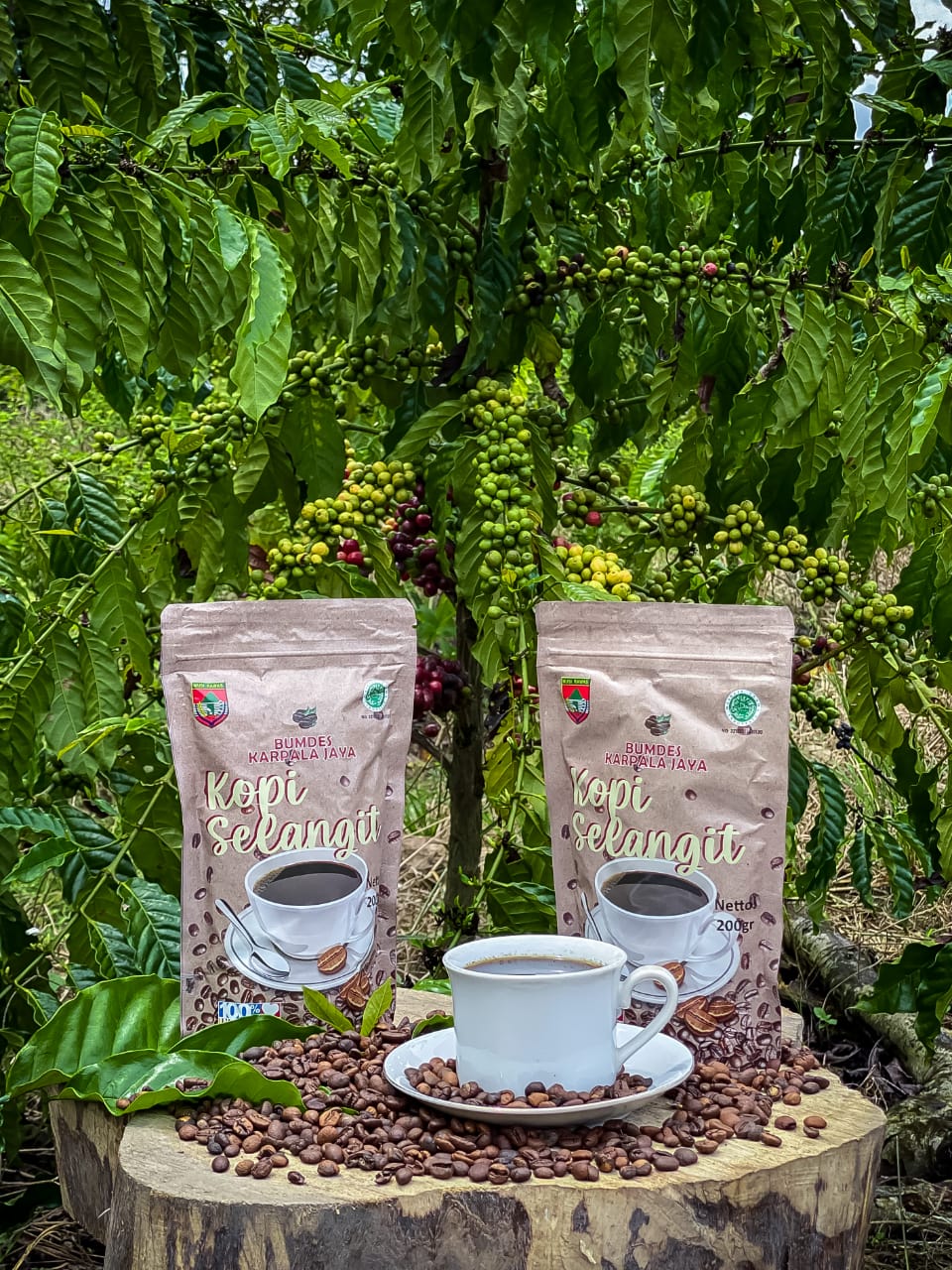 Kopi selangit
