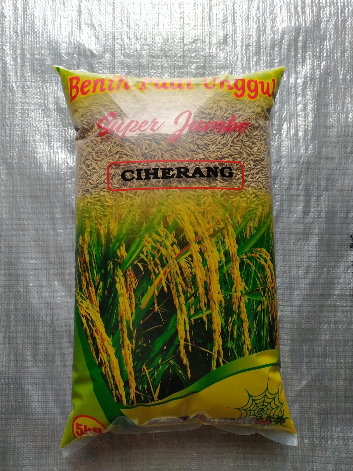 Bibit Timun Suri
