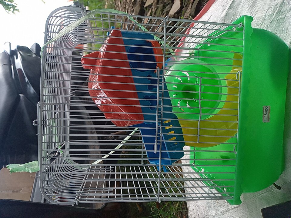 Kandang hamster