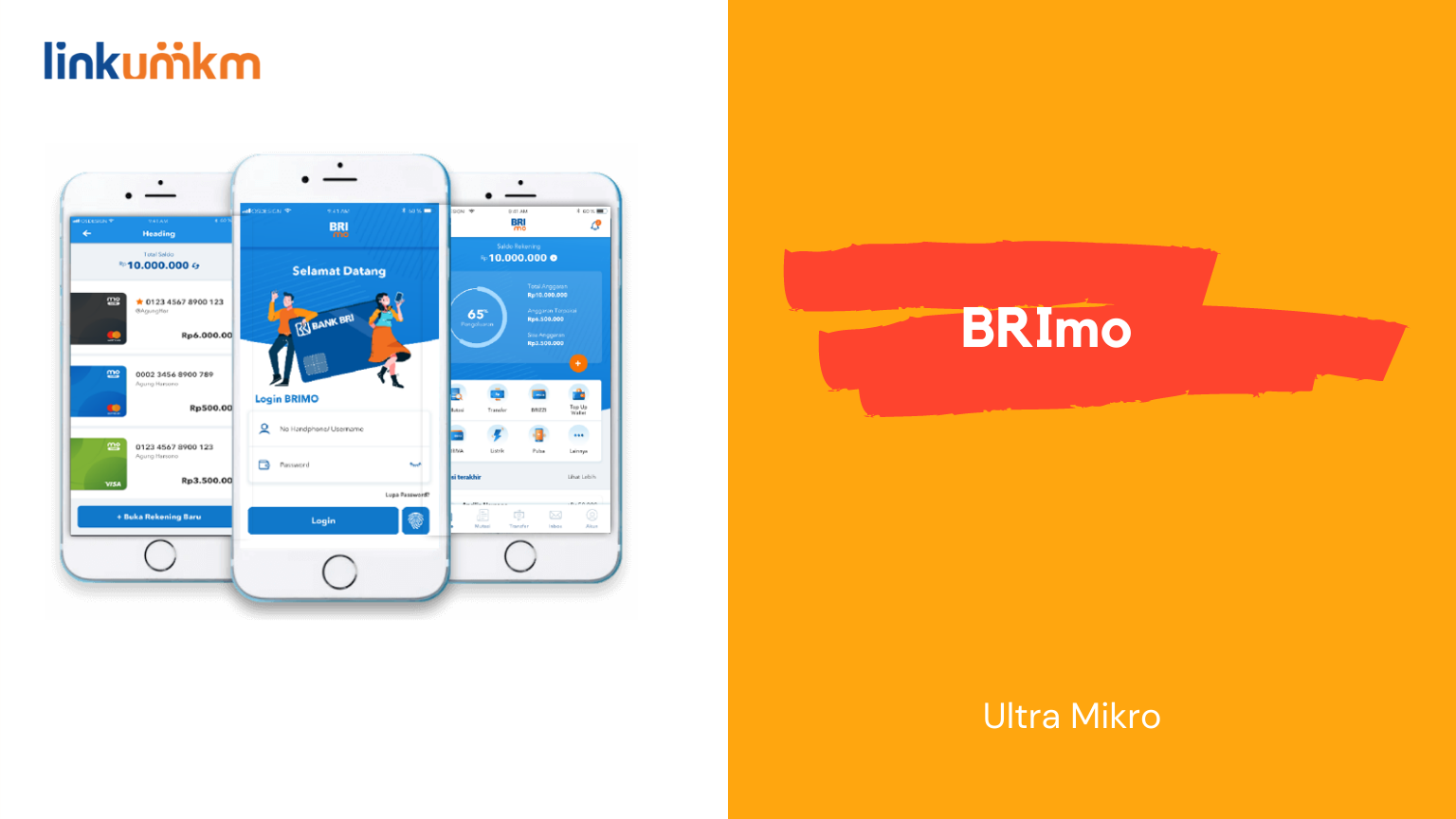 Ultra Mikro BRImo