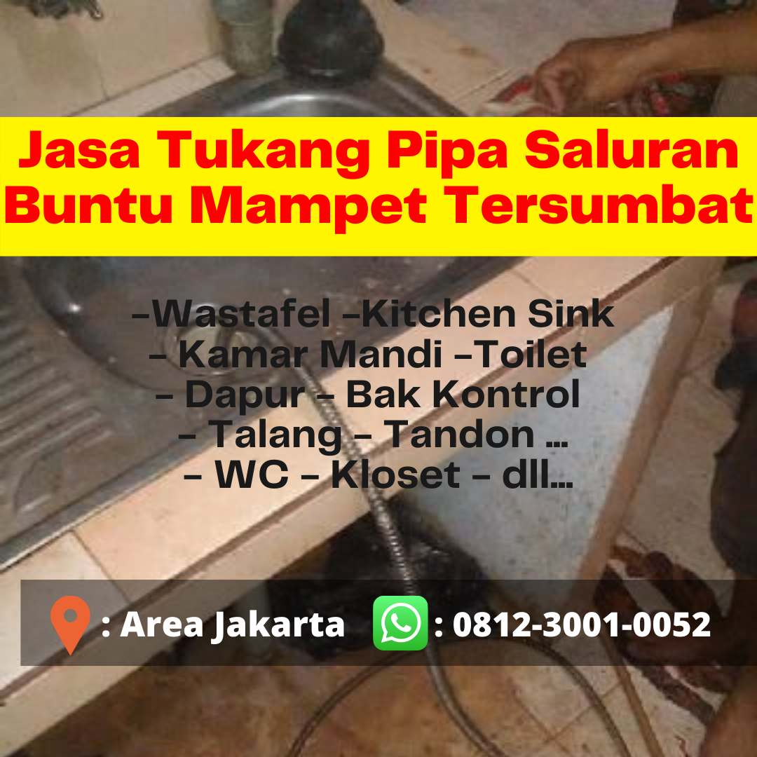 PROFESIONAL, 0812-3001-0052, Jasa Saluran Mampet Cempaka Putih