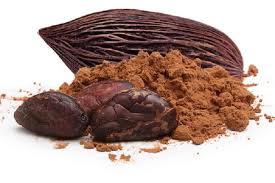 jasa export kopi,jagung,cocoa powder/ import.fdl