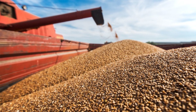 jasa export kopi,jagung,cocoa powder/ import.fdl