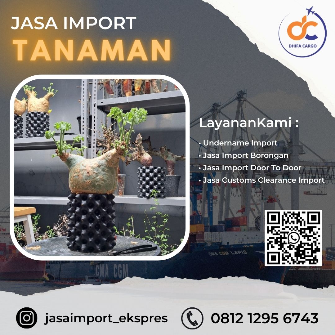 Jasa Import Dari Singapore -  Minimum 10kg By Air