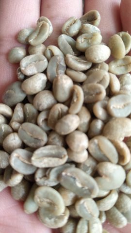 KOPI/KERIPIK BAYAM