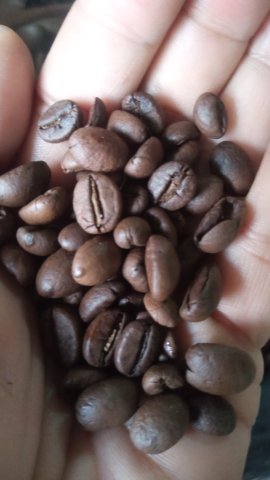 KOPI CINGCAY  VARIAN FULL WOSS 100 Gram