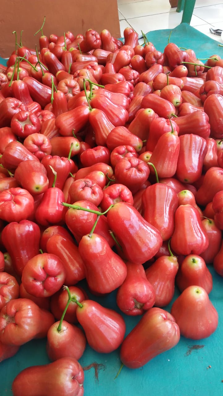 Jambu citra